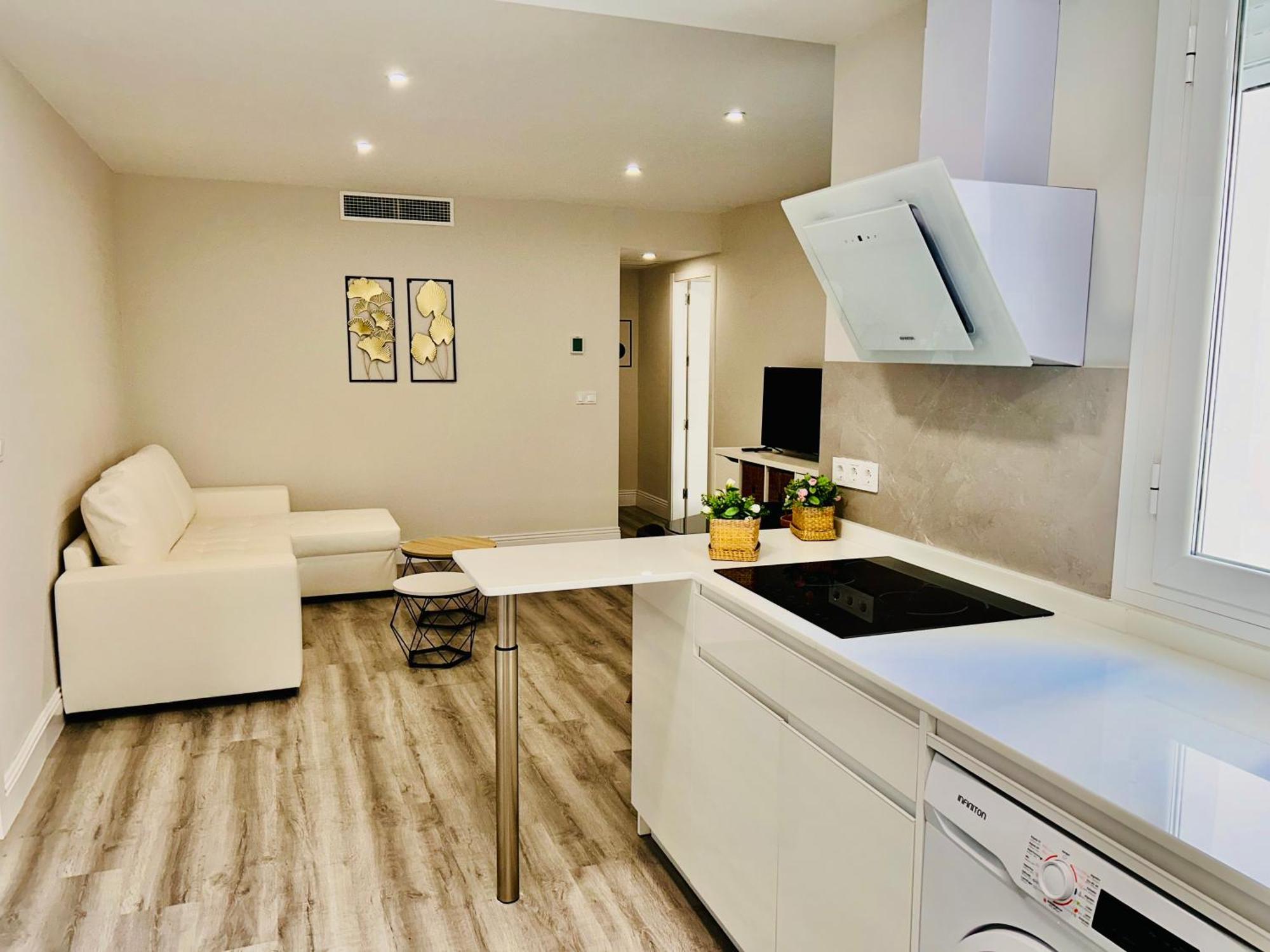 Appartement Gran Capitan
